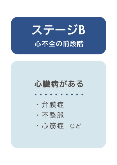ステージB