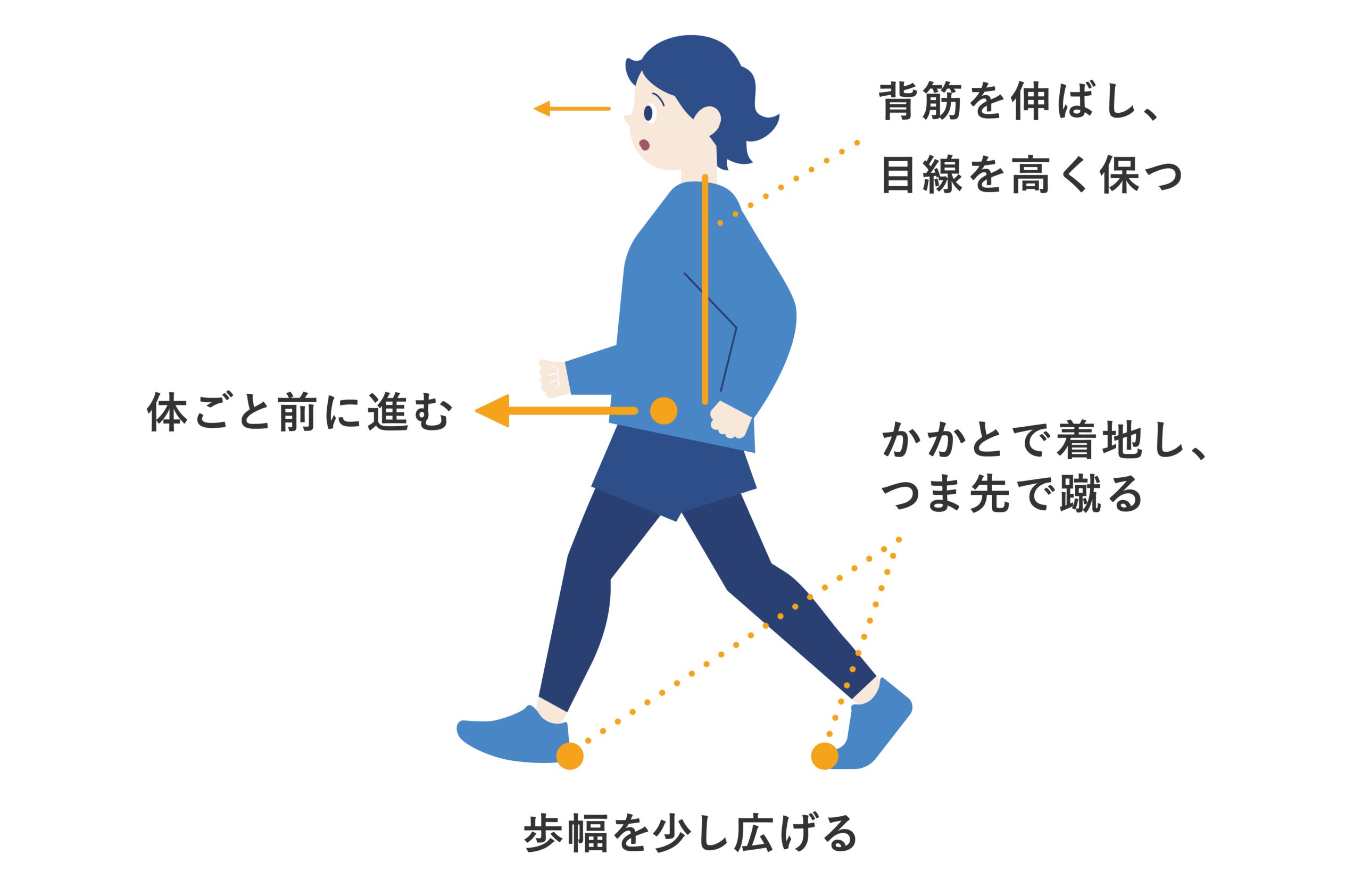 股関節歩きのポイント
